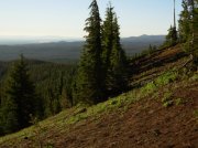 Summer '06 Sunriver II 018 